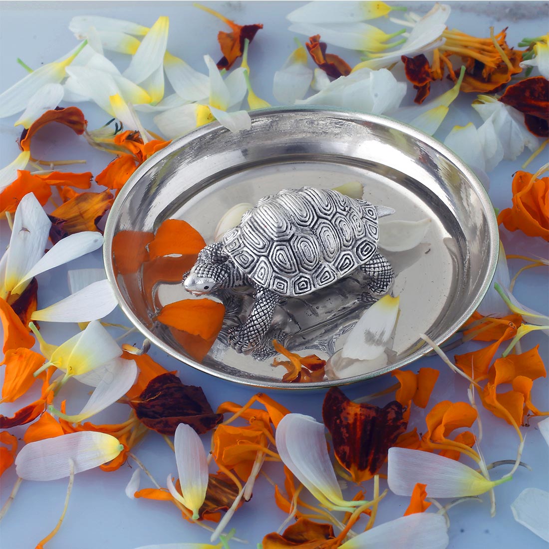 vaastu tortoise with plate