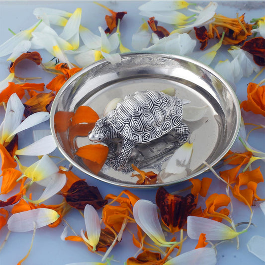 vaastu tortoise with plate