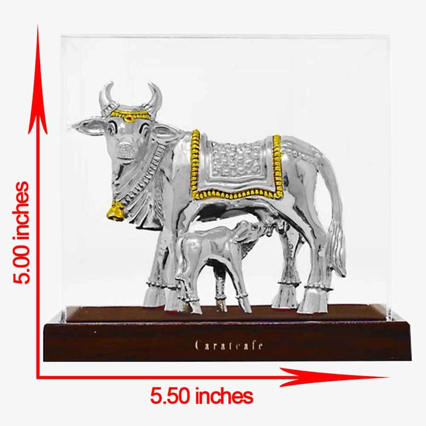 Cow idol