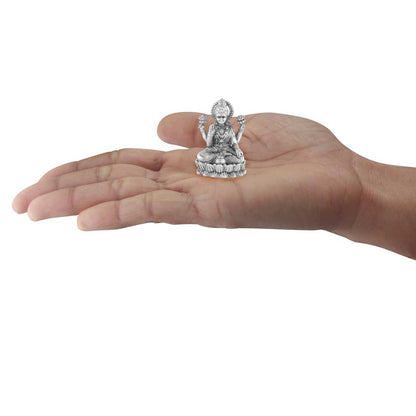 centre_laxmi_on_hand