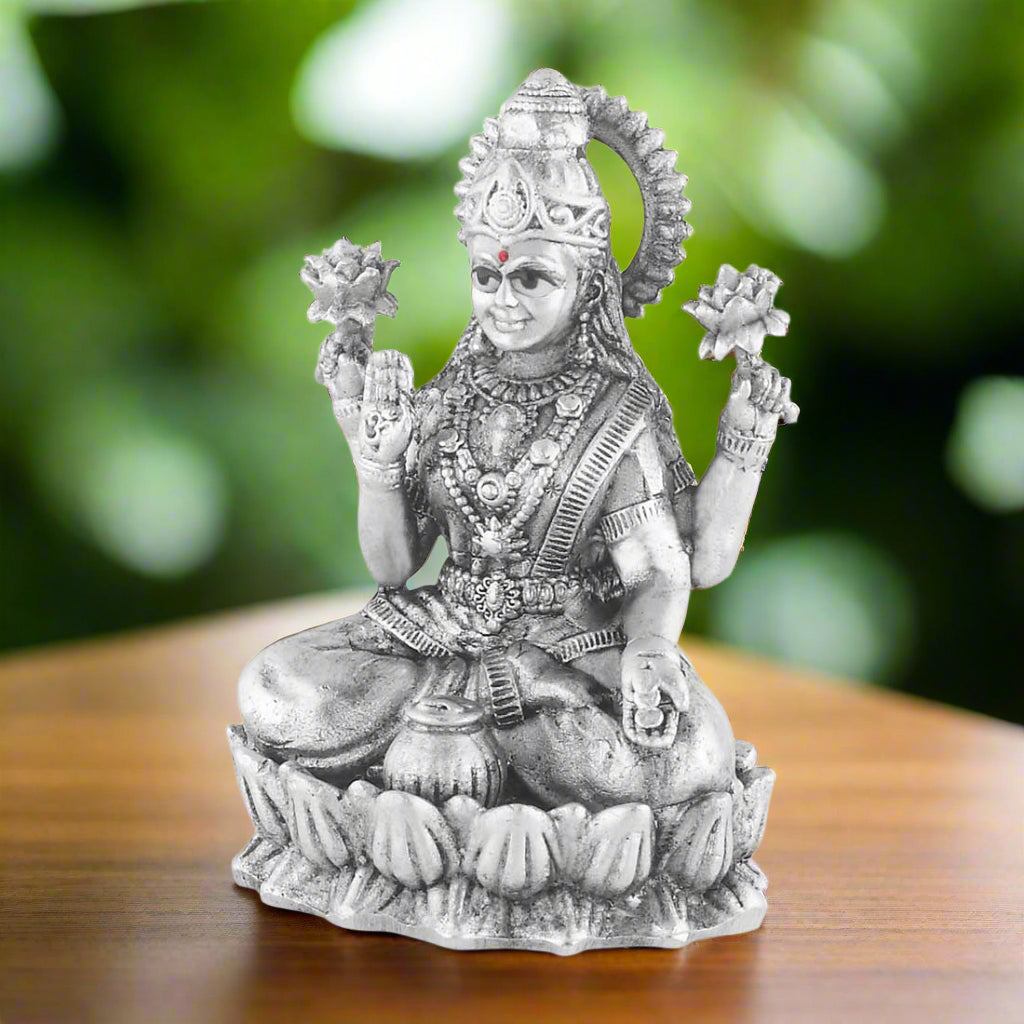 centre_laxmi_side_angle