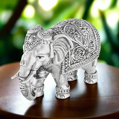 down_soond_elephant_50gm
