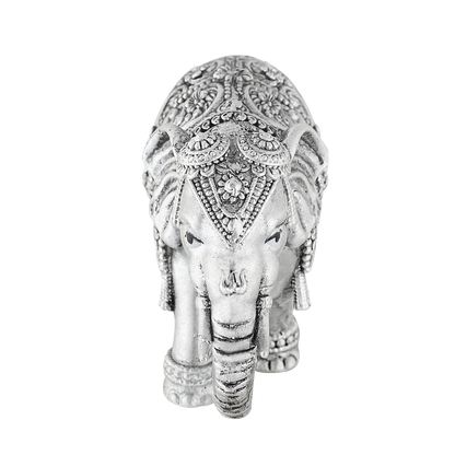 down_trunk_elephant_50gm