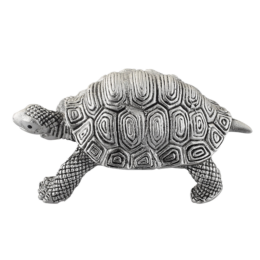 silver-tortoise