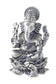 vinayak side view