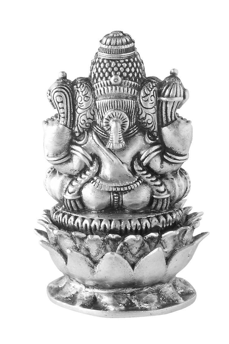 vinayak back view