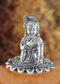 bal gopal idol in colour